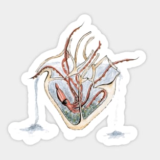 Squid Heart Aquarium Sticker
